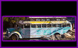 Busses