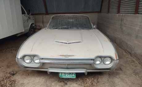 Pair of Thunderbirds