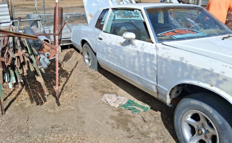 1981 Chevrolet monte carlo LT Coupe 2D