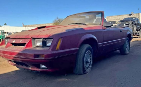 1979 Ford mustang